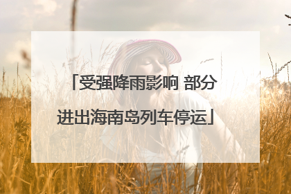 受强降雨影响 部分进出海南岛列车停运