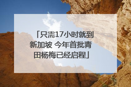 只需17小时就到新加坡 今年首批青田杨梅已经启程