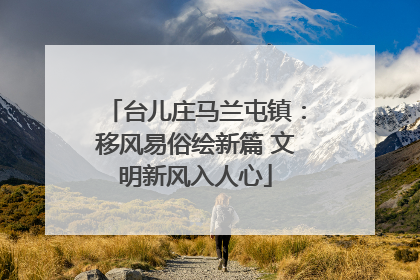 台儿庄马兰屯镇：移风易俗绘新篇 文明新风入人心