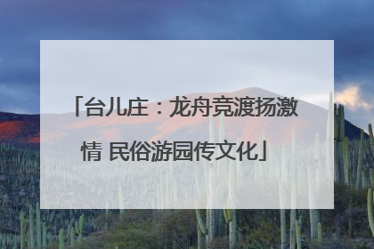 台儿庄：龙舟竞渡扬激情 民俗游园传文化