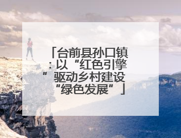 台前县孙口镇：以“红色引擎”驱动乡村建设“绿色发展”