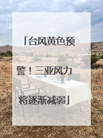 台风黄色预警！三亚风力将逐渐减弱