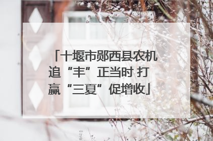 十堰市郧西县农机追“丰”正当时 打赢“三夏”促增收