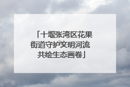 十堰张湾区花果街道守护文明河流 共绘生态画卷
