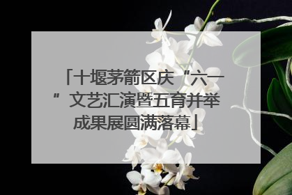 十堰茅箭区庆“六一”文艺汇演暨五育并举成果展圆满落幕