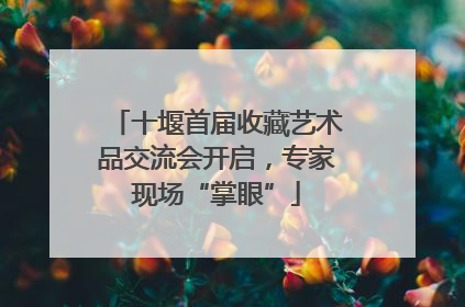 十堰首届收藏艺术品交流会开启，专家现场“掌眼”