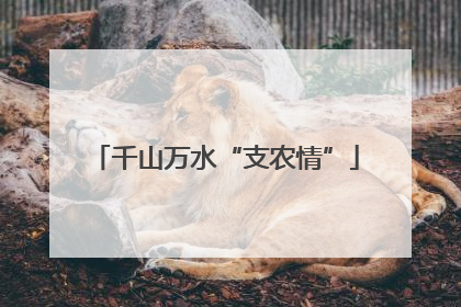 千山万水“支农情”