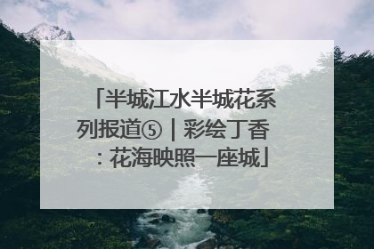 半城江水半城花系列报道⑤｜彩绘丁香：花海映照一座城