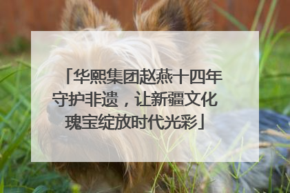 华熙集团赵燕十四年守护非遗，让新疆文化瑰宝绽放时代光彩
