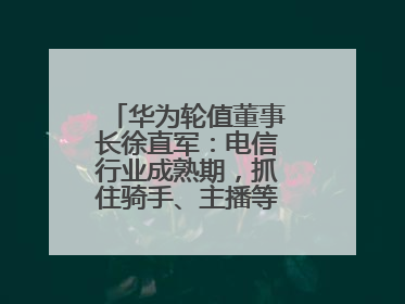 华为轮值董事长徐直军：电信行业成熟期，抓住骑手、主播等成长型需求