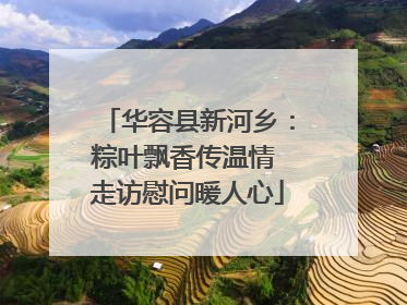华容县新河乡：粽叶飘香传温情 走访慰问暖人心