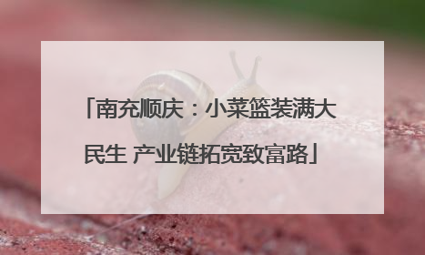 南充顺庆：小菜篮装满大民生 产业链拓宽致富路