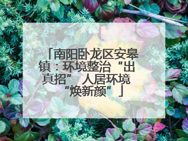 南阳卧龙区安皋镇：环境整治“出真招” 人居环境“焕新颜”