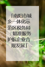 南阳市城乡一体化示范区税务局：精准服务护航企业合规发展