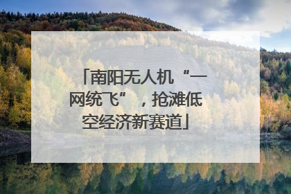 南阳无人机“一网统飞”，抢滩低空经济新赛道