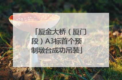 厦金大桥（厦门段）A3标首个预制墩台成功吊装