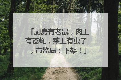 厨房有老鼠，肉上有苍蝇，菜上有虫子，市监局：下架！