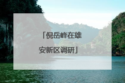 倪岳峰在雄安新区调研