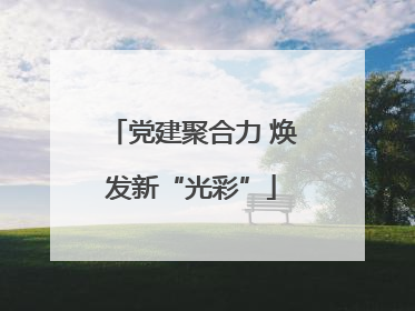 党建聚合力 焕发新“光彩”