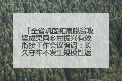 全省巩固拓展脱贫攻坚成果同乡村振兴有效衔接工作会议强调：长久守牢不发生规模性返贫致贫底线 王宁出席并讲话 王予波主持