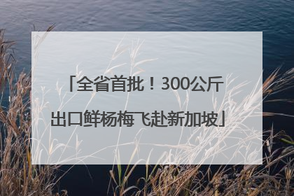 全省首批！300公斤出口鲜杨梅飞赴新加坡