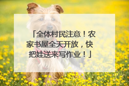 全体村民注意！农家书屋全天开放，快把娃送来写作业！