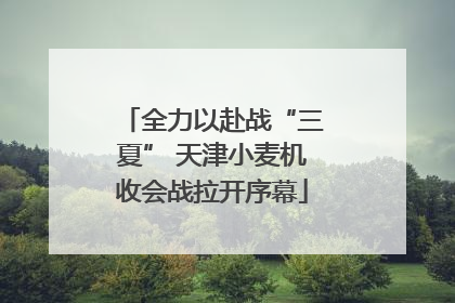 全力以赴战“三夏” 天津小麦机收会战拉开序幕
