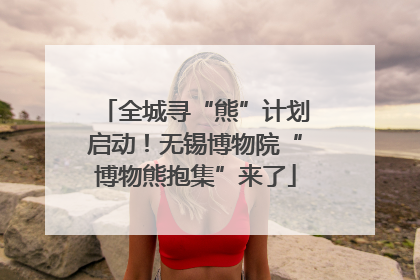 全城寻“熊”计划启动！无锡博物院“博物熊抱集”来了