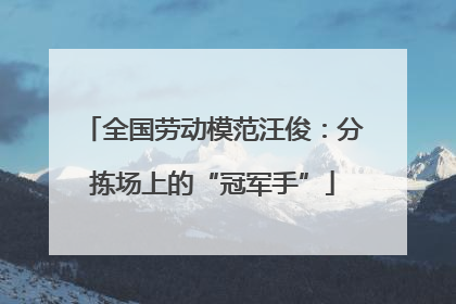全国劳动模范汪俊：分拣场上的“冠军手”