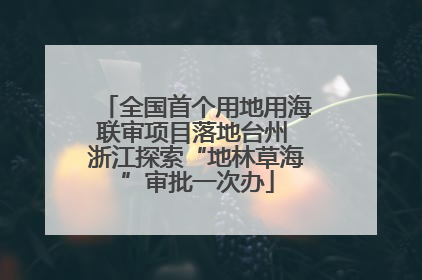 全国首个用地用海联审项目落地台州 浙江探索“地林草海”审批一次办