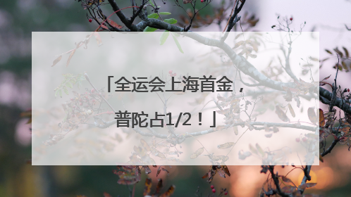 全运会上海首金，普陀占1/2！