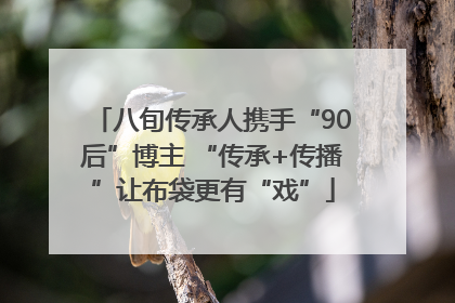 八旬传承人携手“90后”博主 “传承+传播”让布袋更有“戏”