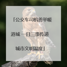 公交车司机善举暖港城 一日三事传递城市文明温度