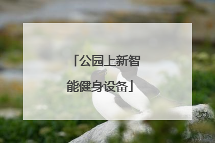 公园上新智能健身设备