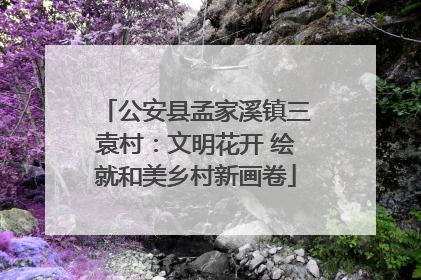 公安县孟家溪镇三袁村：文明花开 绘就和美乡村新画卷