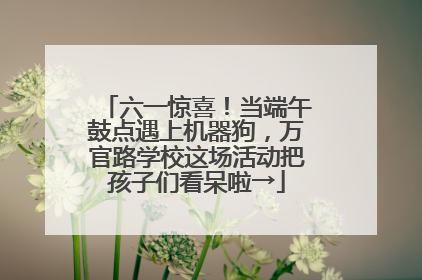 六一惊喜！当端午鼓点遇上机器狗，万官路学校这场活动把孩子们看呆啦→