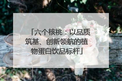 六个核桃：以品质筑基、创新领航的植物蛋白饮品标杆