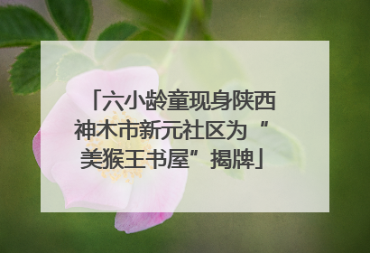 六小龄童现身陕西神木市新元社区为“美猴王书屋”揭牌