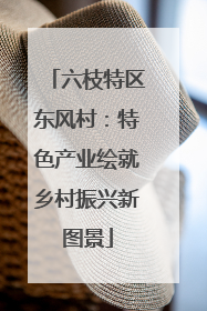 六枝特区东风村：特色产业绘就乡村振兴新图景