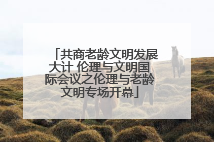 共商老龄文明发展大计 伦理与文明国际会议之伦理与老龄文明专场开幕