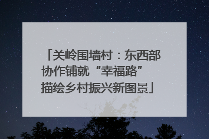 关岭围墙村：东西部协作铺就“幸福路” 描绘乡村振兴新图景