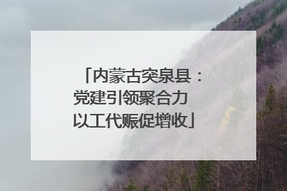 内蒙古突泉县：党建引领聚合力 以工代赈促增收