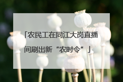 农民工在同江大岗直播间刷出新“农时令”