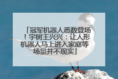 冠军机器人悉数登场！宇树王兴兴：让人形机器人马上进入家庭等场景并不现实