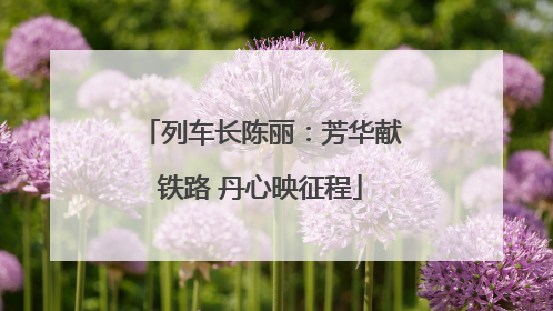 列车长陈丽：芳华献铁路 丹心映征程