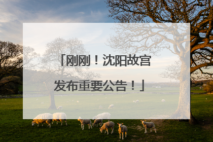刚刚！沈阳故宫发布重要公告！