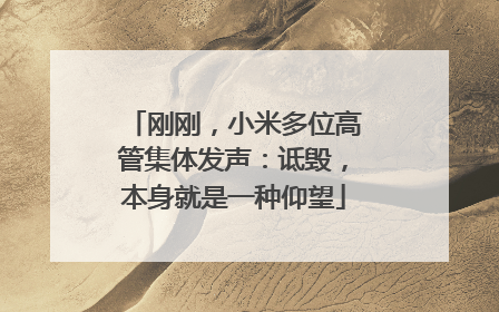 刚刚，小米多位高管集体发声：诋毁，本身就是一种仰望