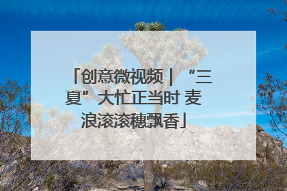 创意微视频｜“三夏”大忙正当时 麦浪滚滚穗飘香