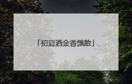 初夏洒金香飘散