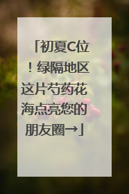 初夏C位！绿隔地区这片芍药花海点亮您的朋友圈→